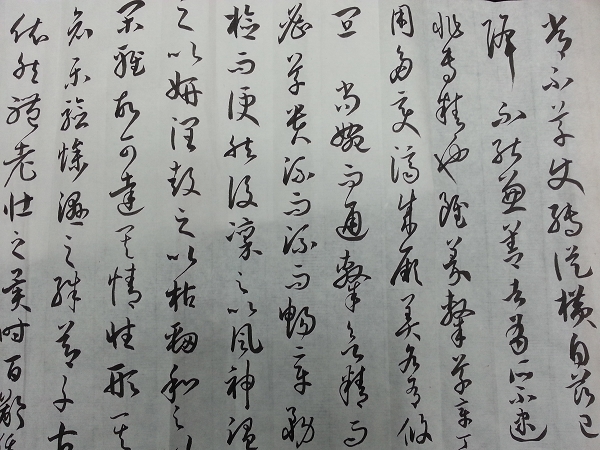 20131008_141021_nEO_IMG.jpg