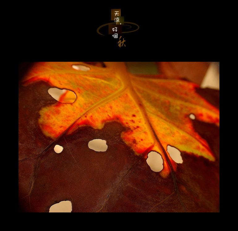 fall02.jpg