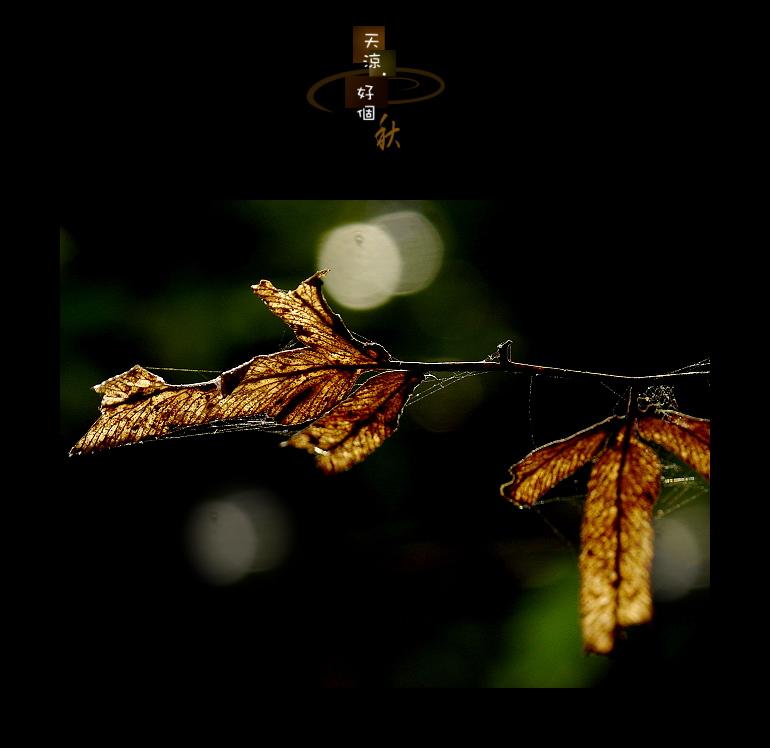 fall01.jpg