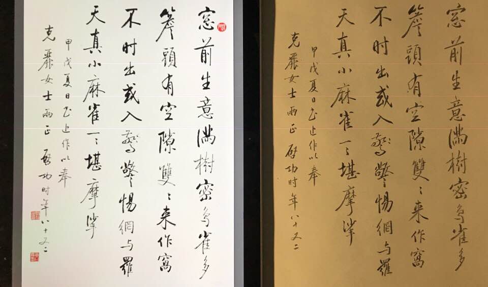 窗前生意滿，樹密鳥雀多。.jpg