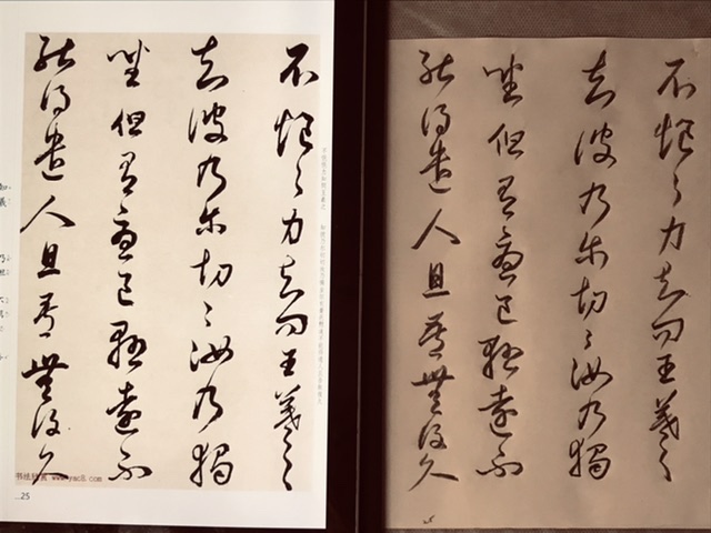 B09BC479-B8C0-49C0-BDA7-224A3927195E.jpeg