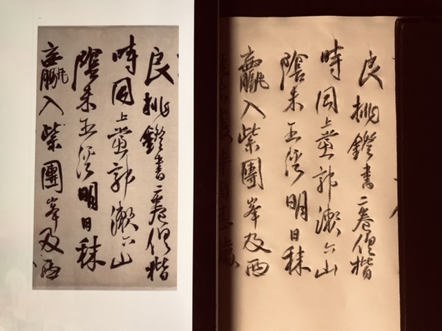 05815CB0-360F-462C-B531-443F50C6A82E.jpeg