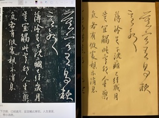 D450BA8D-608F-40AF-ABDF-FA047D898420.jpeg